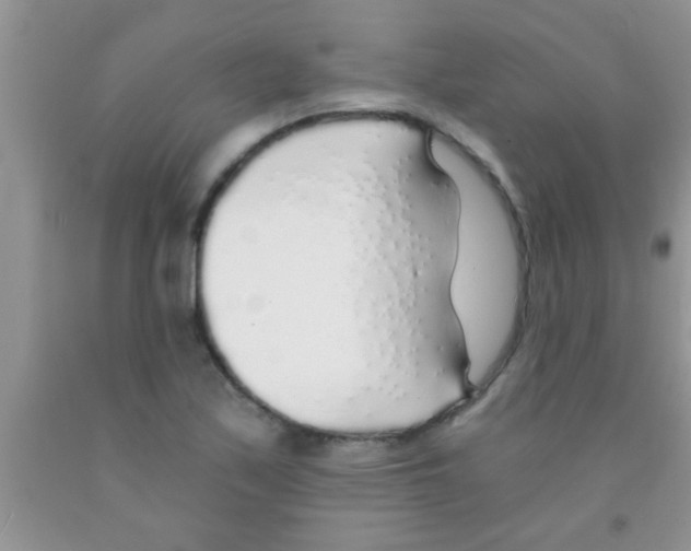 X0000091341171200709071212