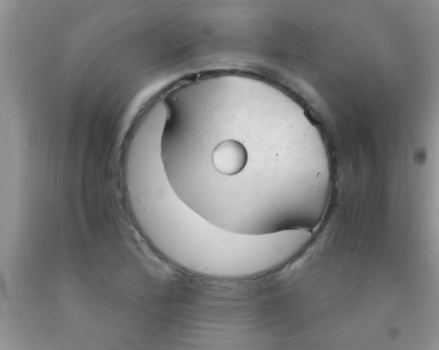 X0000091341172200709071212