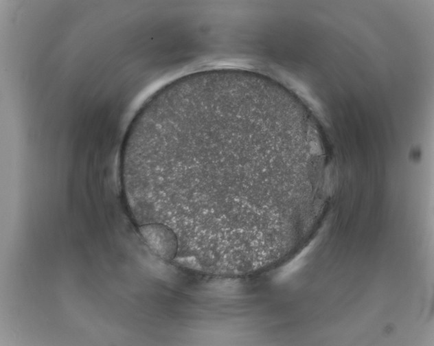 X0000091341174200709071212