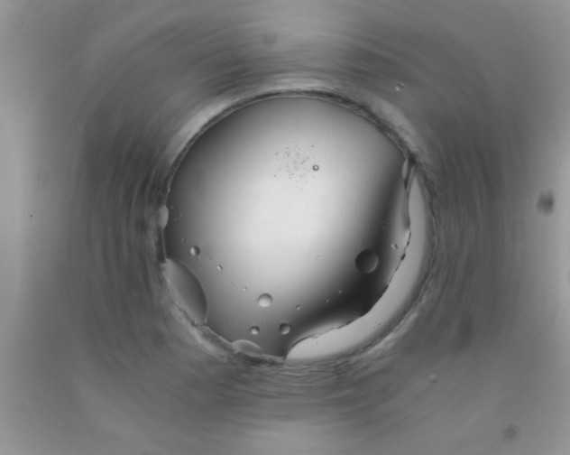 X0000091341177200709071212