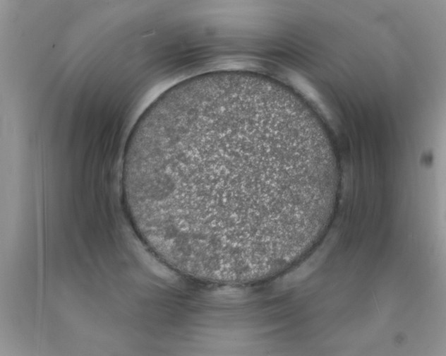 X0000091341178200709071212