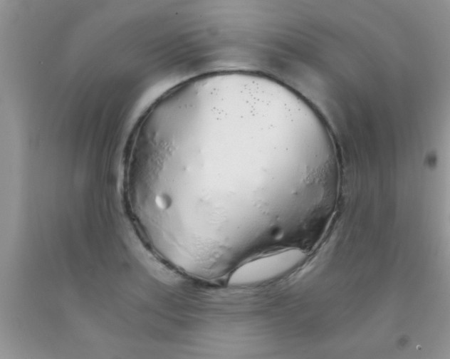 X0000091341179200709071212