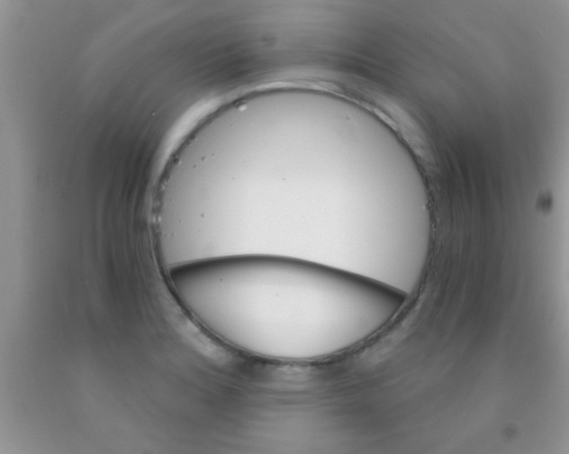 X0000091341180200709071212