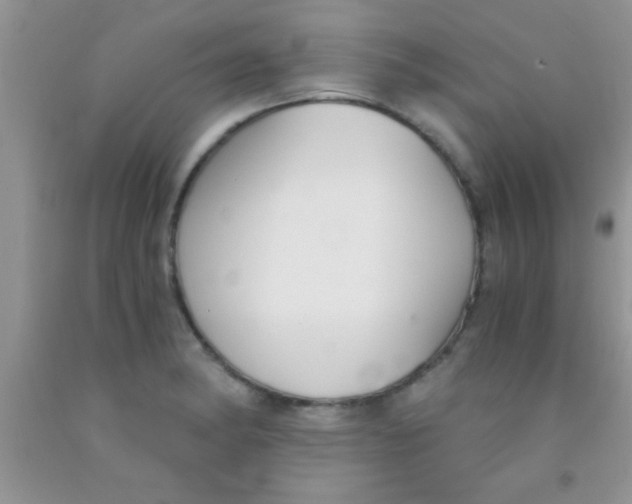 X0000091341182200709071212