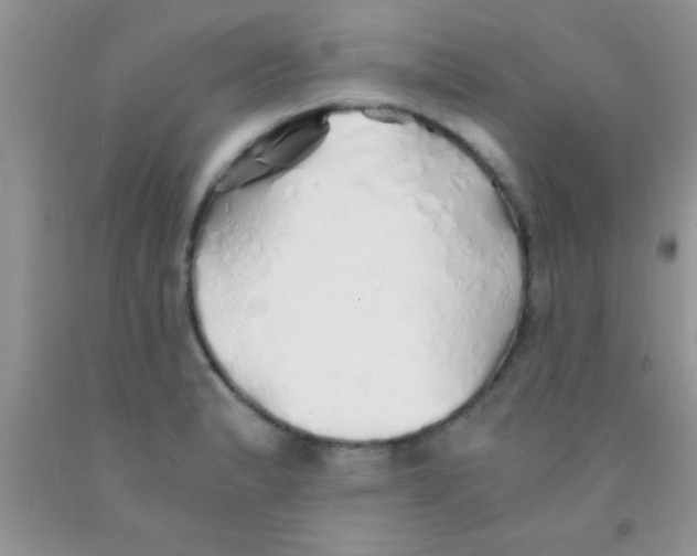 X0000091341183200709071212