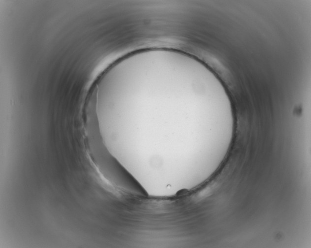 X0000091341184200709071212