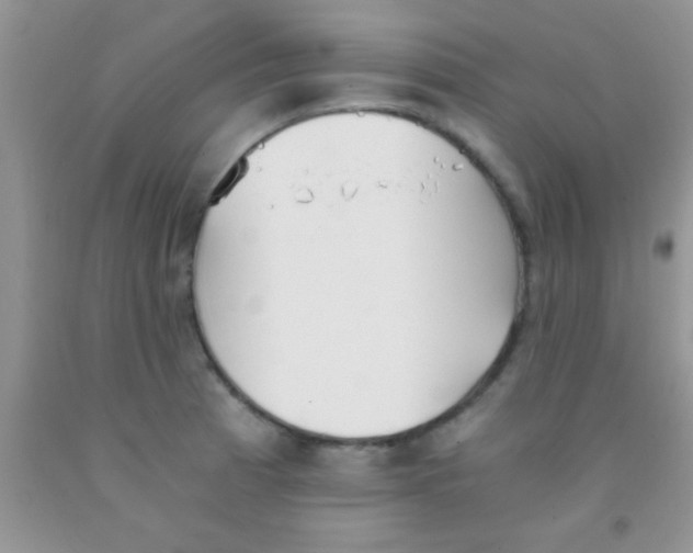 X0000091341185200709071212