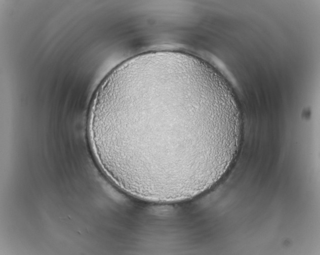 X0000091341186200709071212