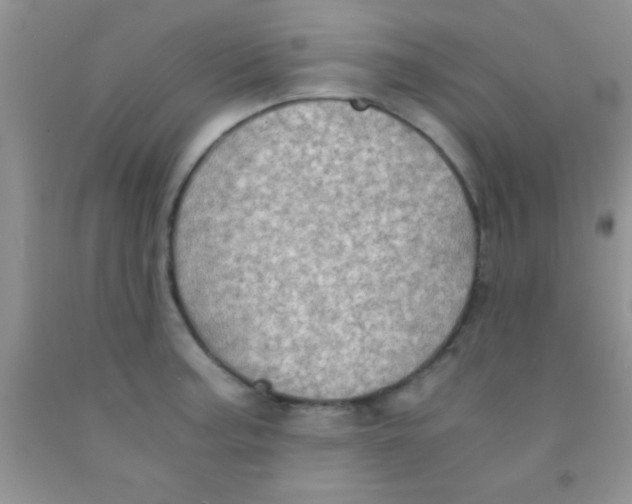 X0000091341187200709071212