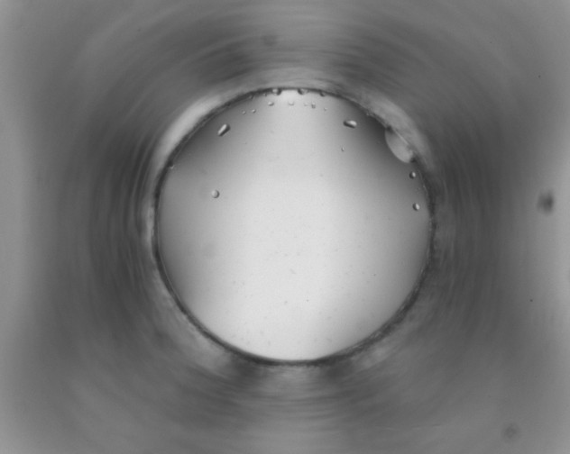 X0000091341188200709071212