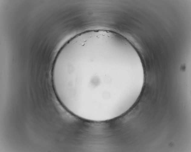 X0000091341189200709071212