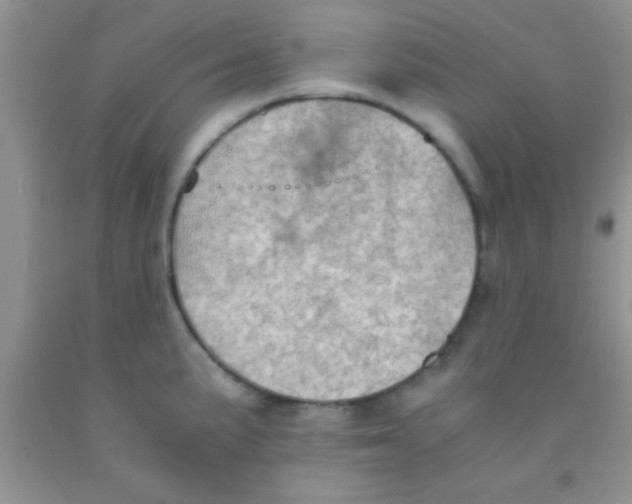 X0000091341191200709071212