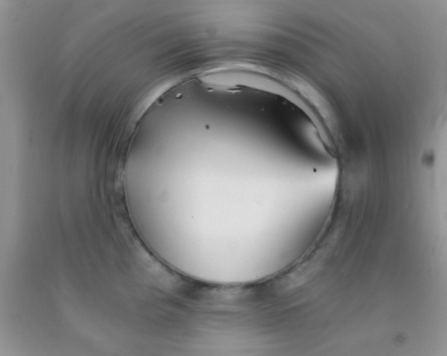 X0000091341193200709071212