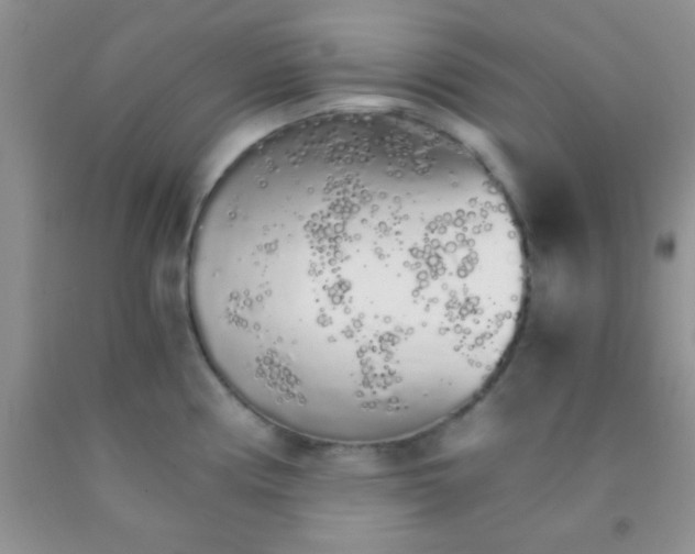 X0000091341194200709071212