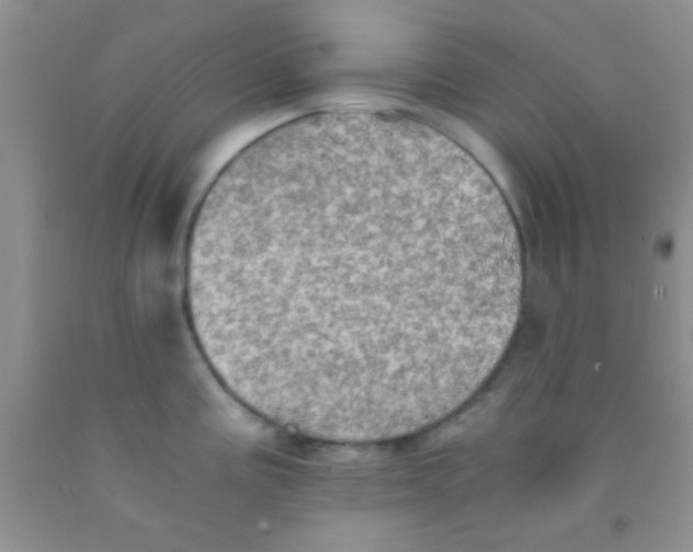 X0000091341195200709071212