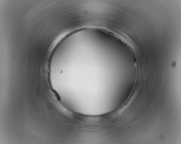 X0000091341196200709071212