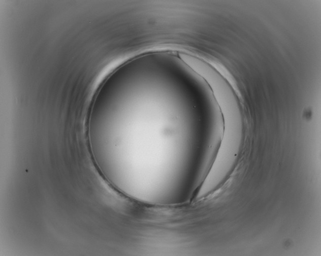 X0000091341197200709071212