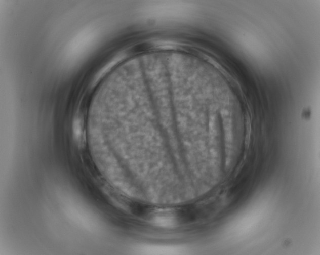 X0000091341198200709071212