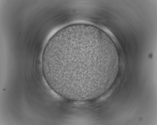 X0000091341199200709071212