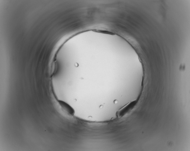 X0000091341200200709071212