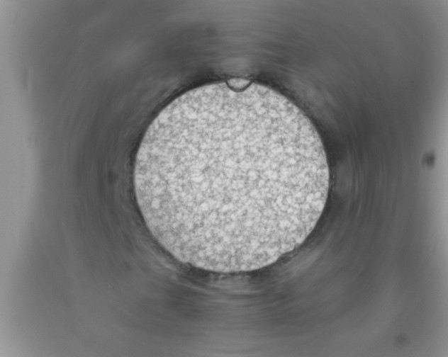 X0000091341201200709071211