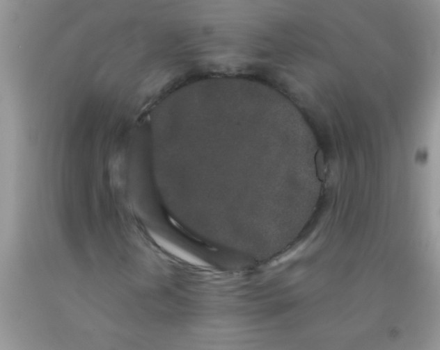 X0000091341202200709071211