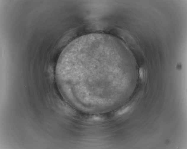 X0000091341203200709071211