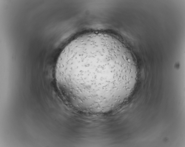 X0000091341205200709071211