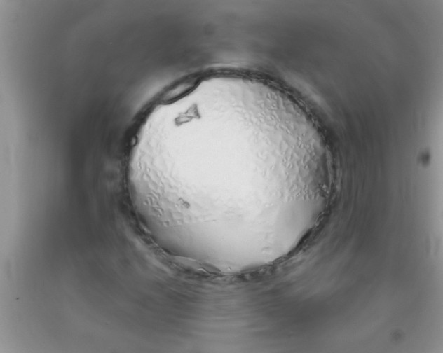 X0000091341208200709071211