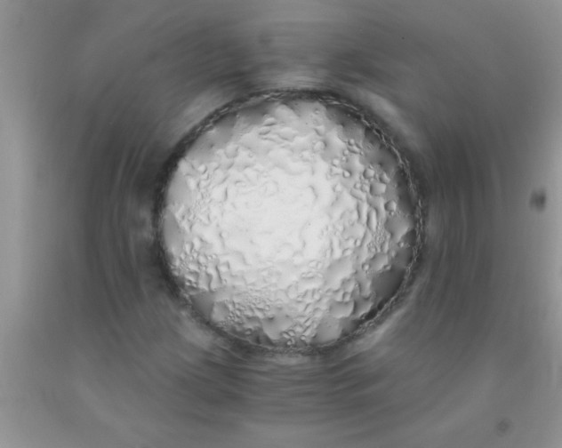 X0000091341209200709071211