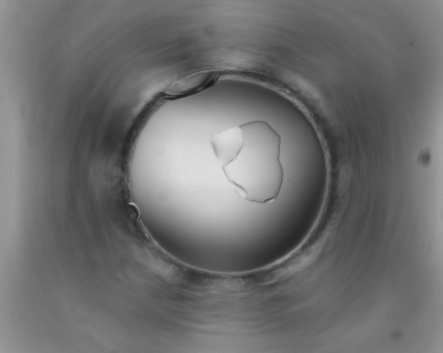 X0000091341210200709071211