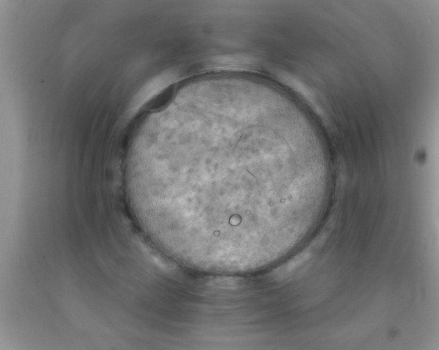 X0000091341211200709071211