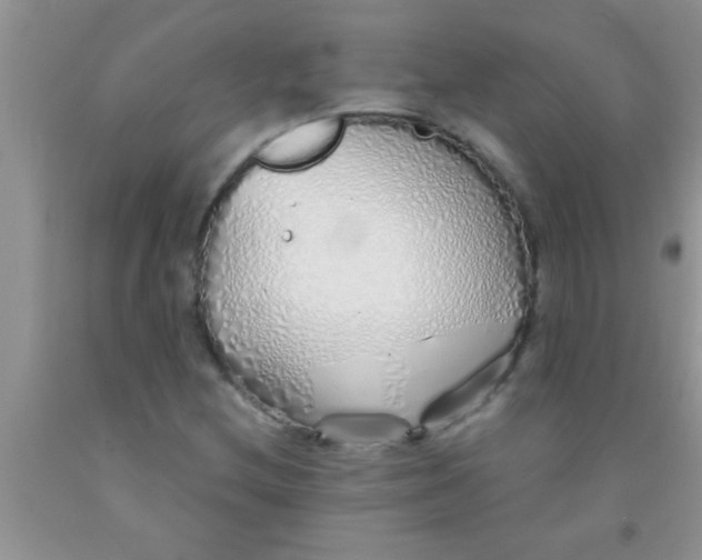 X0000091341212200709071211