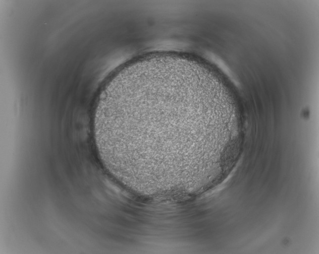 X0000091341213200709071211