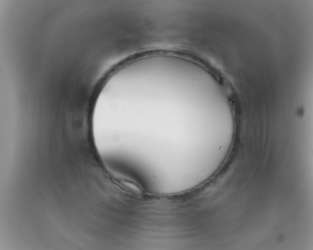 X0000091341214200709071211