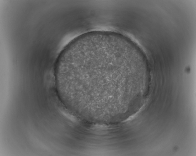 X0000091341215200709071211