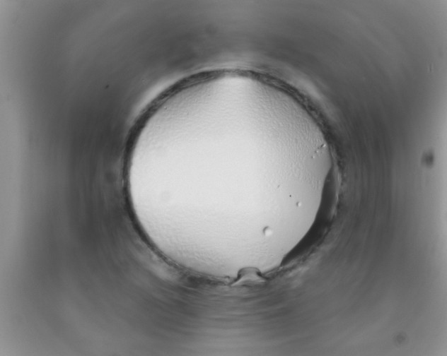 X0000091341216200709071211