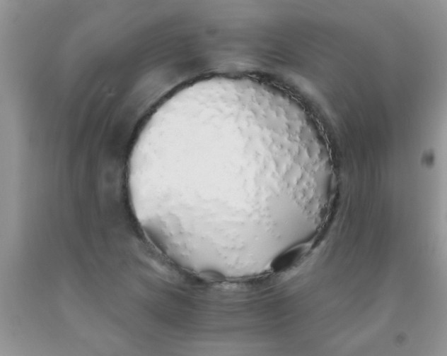 X0000091341217200709071211