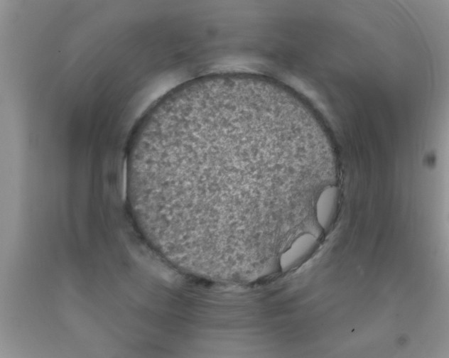 X0000091341219200709071211