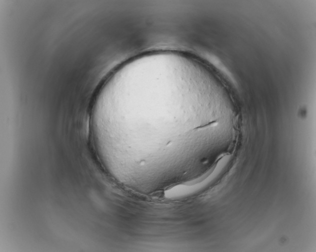 X0000091341221200709071211