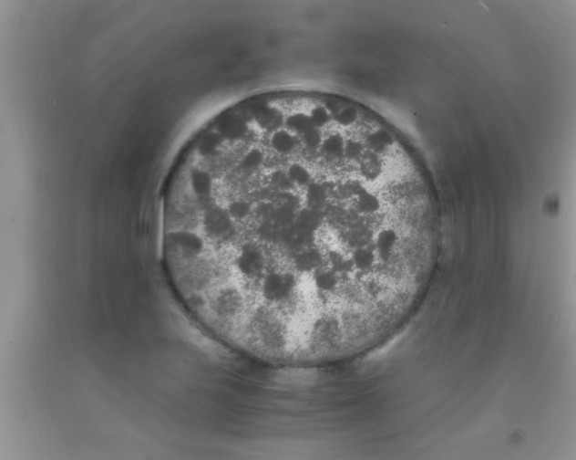 X0000091341223200709071211