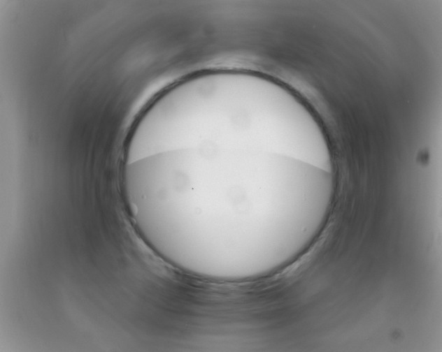 X0000091341224200709071211