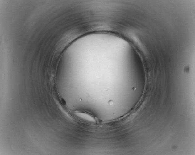 X0000091341225200709071211