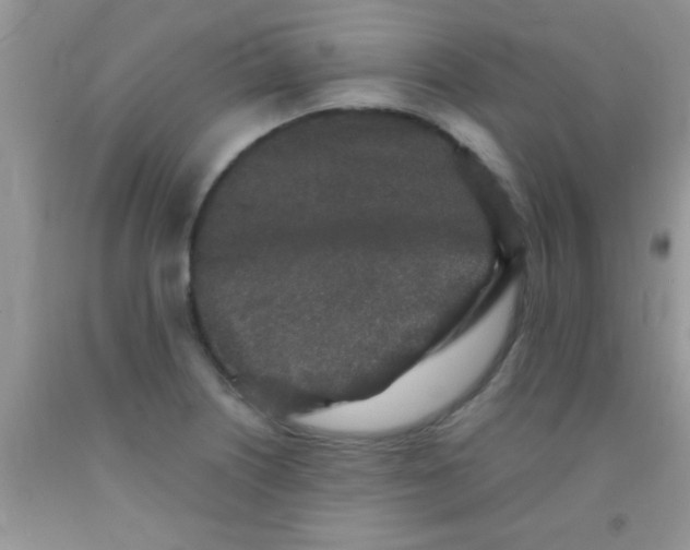 X0000091341226200709071211