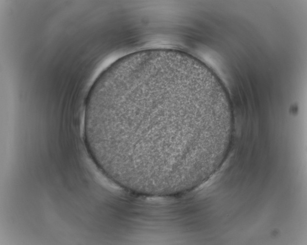 X0000091341227200709071211