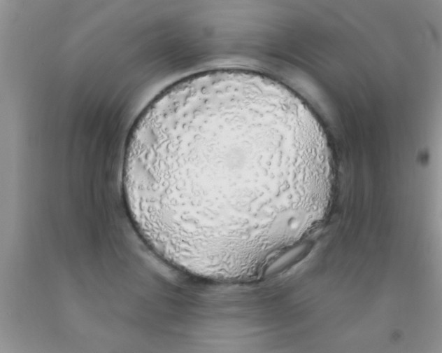 X0000091341228200709071211