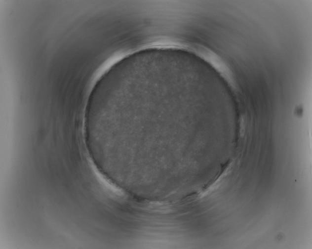 X0000091341229200709071211