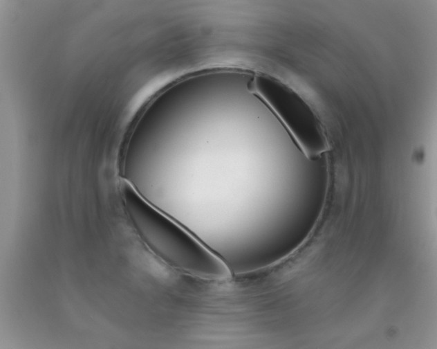 X0000091341230200709071211