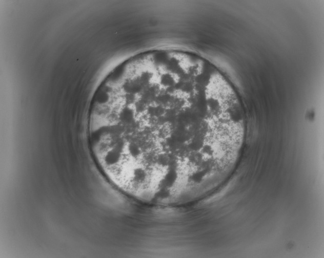 X0000091341231200709071211