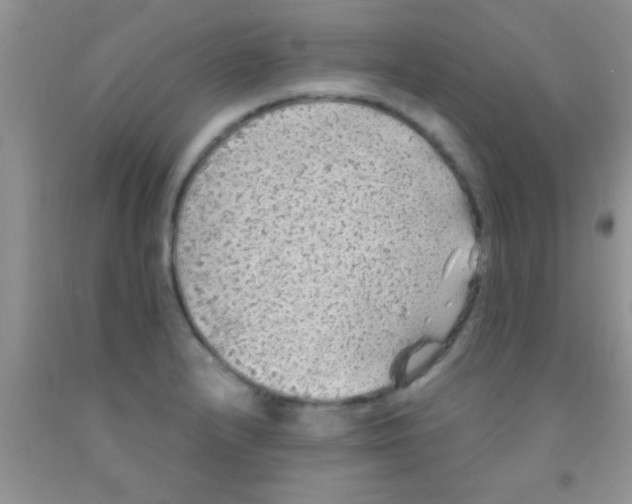 X0000091341232200709071211